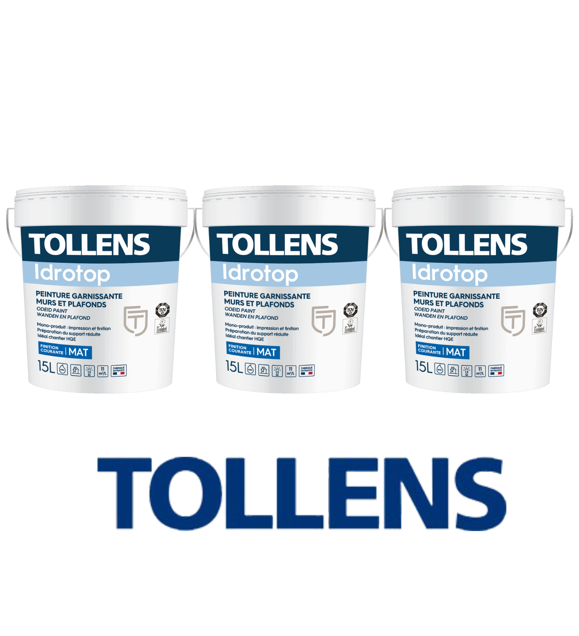 lot de peinture tollens mat